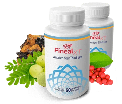 lodo pineal xt